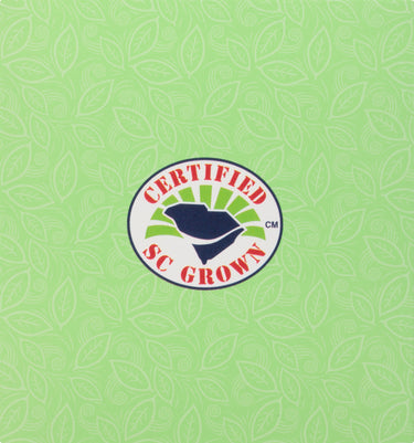 American Classic Pyramid Teabags, Island Green Mint, 12 Count, 0.84 Oz